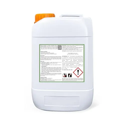 Bauchem Moldoff fissativo antimuffa consolidante 5 lt interni