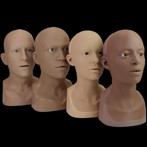 Neill's Materials Heads testa trucco FX anatomica