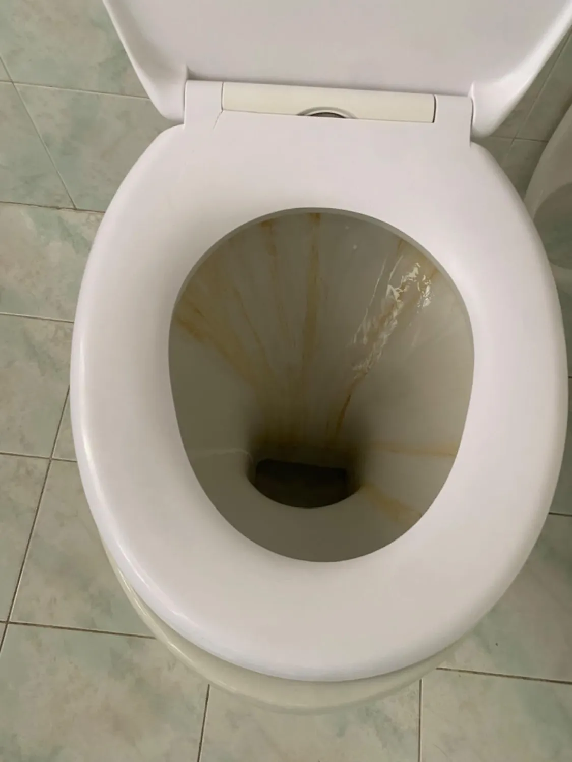 Deka disincrostante anticalcare WC sanitari 1 L forte