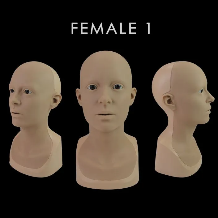 Neill's Materials Heads testa trucco FX anatomica