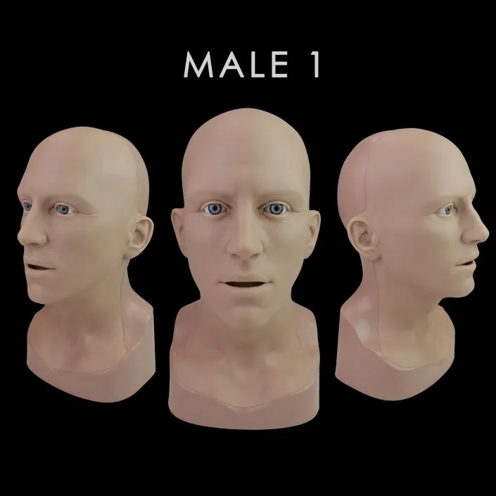 Neill's Materials Heads testa trucco FX anatomica
