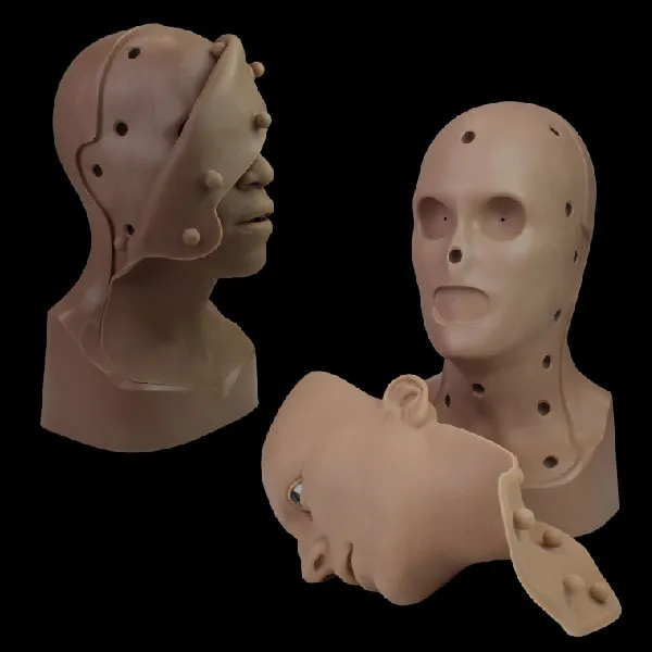 Neill's Materials Heads testa trucco FX anatomica