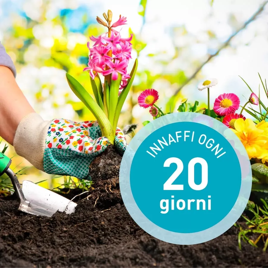 Vinext PolyGreen Kit granuli riserva acqua 100 g piante