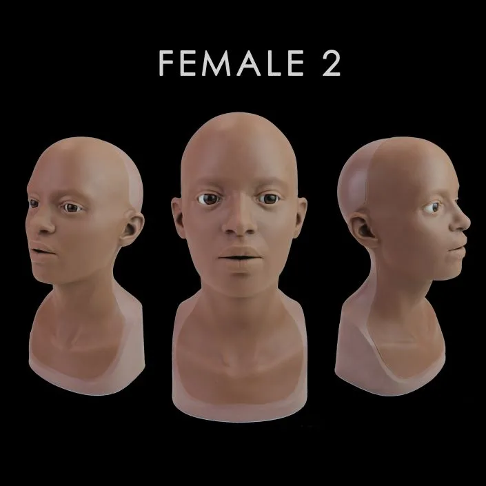 Neill's Materials Heads testa trucco FX anatomica