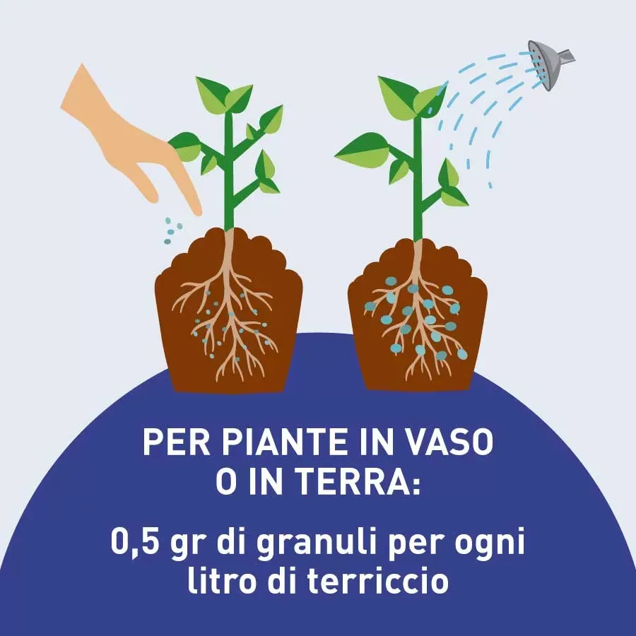 Vinext PolyGreen Kit granuli riserva acqua 100 g piante